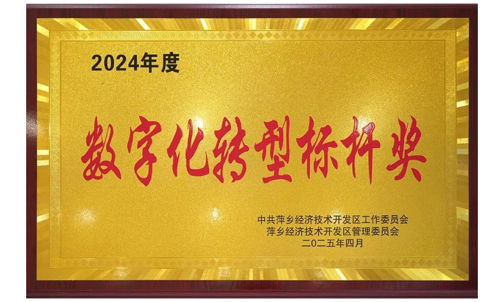 2024年度數(shù)字化轉(zhuǎn)型標桿獎